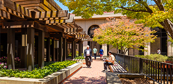 Research Fellows